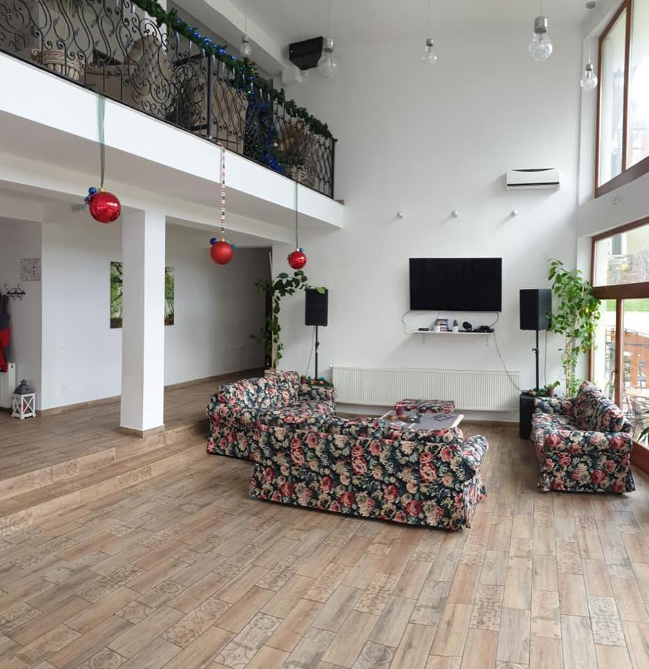 Casuta Din Padure Bed & Breakfast Dragus Exterior foto