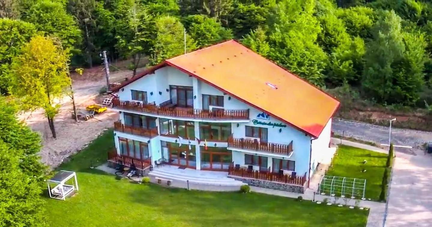 Casuta Din Padure Bed & Breakfast Dragus Exterior foto