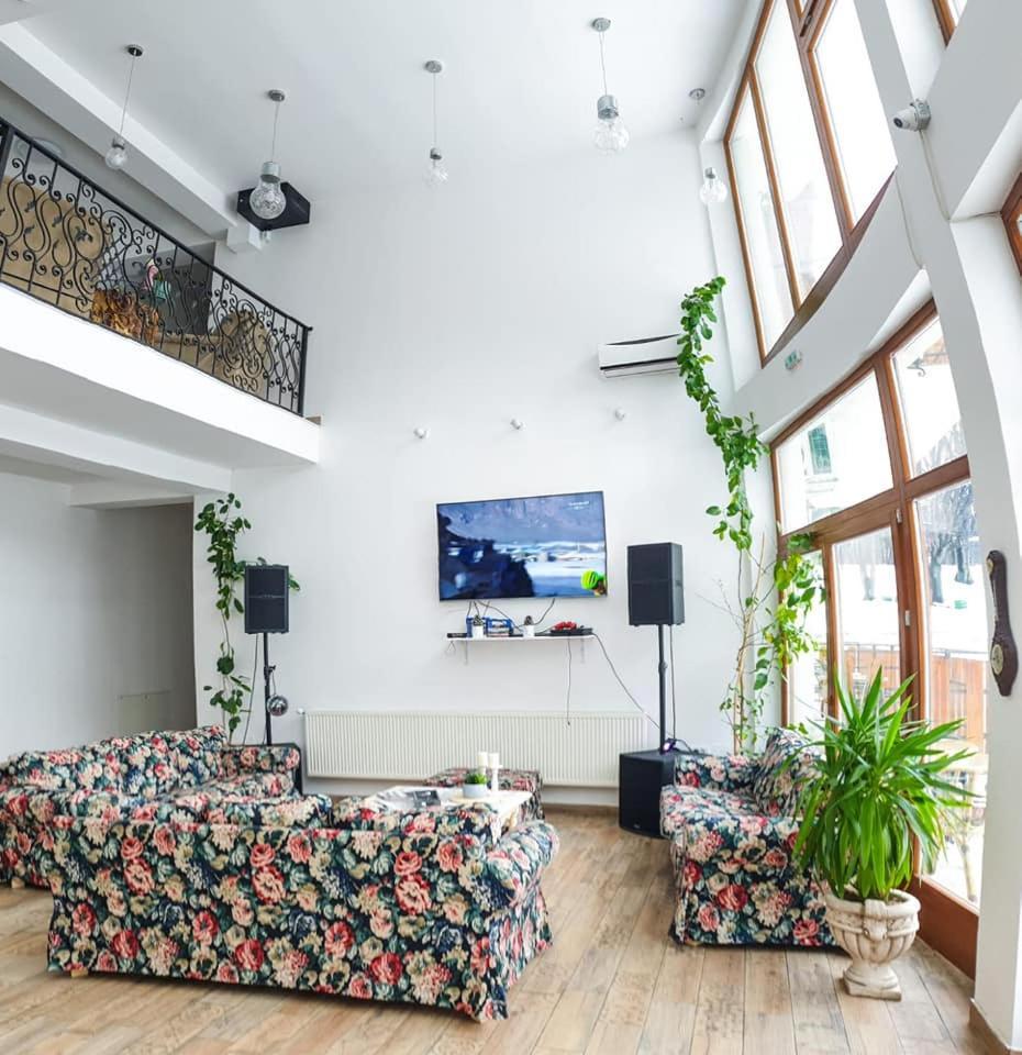 Casuta Din Padure Bed & Breakfast Dragus Exterior foto