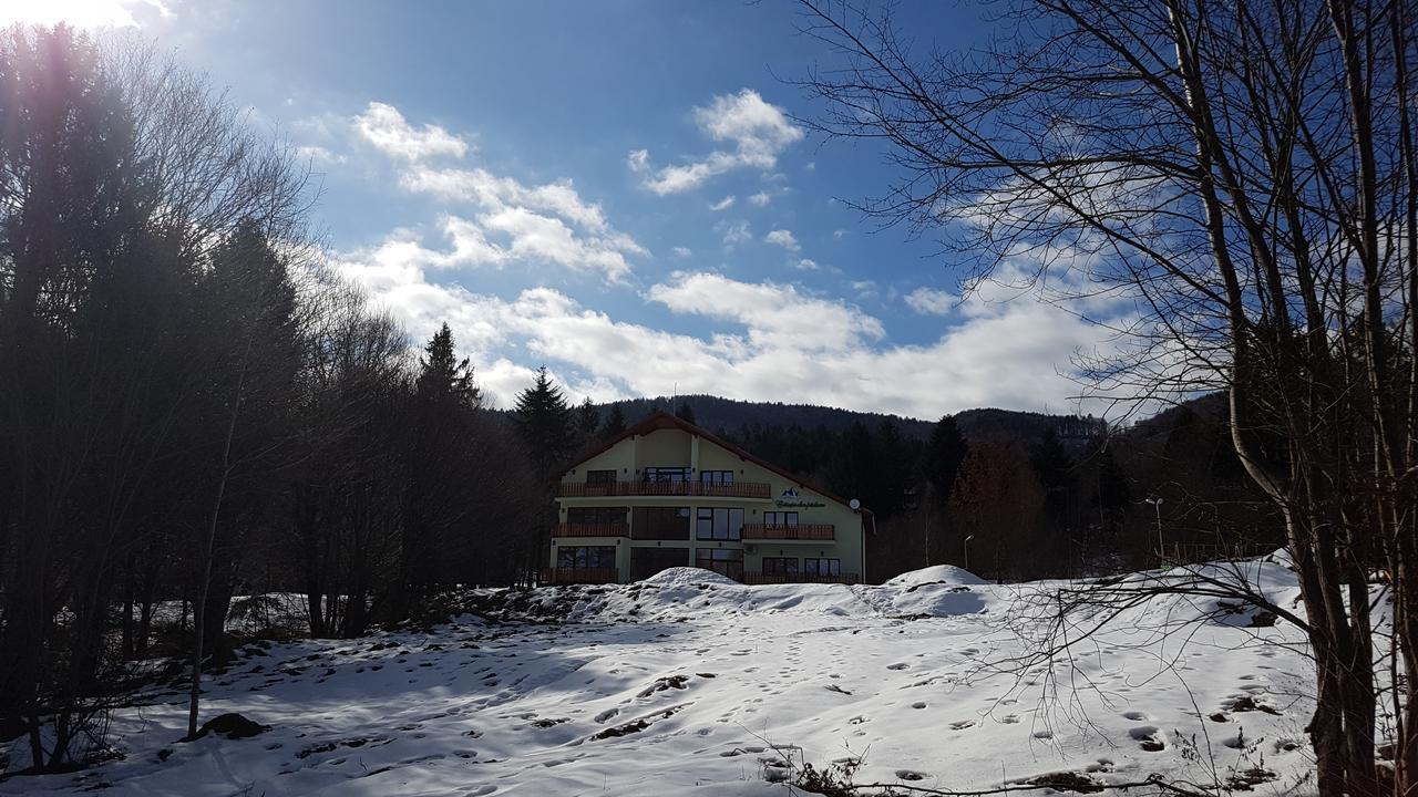 Casuta Din Padure Bed & Breakfast Dragus Exterior foto