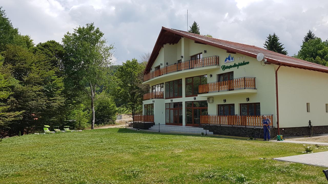 Casuta Din Padure Bed & Breakfast Dragus Exterior foto