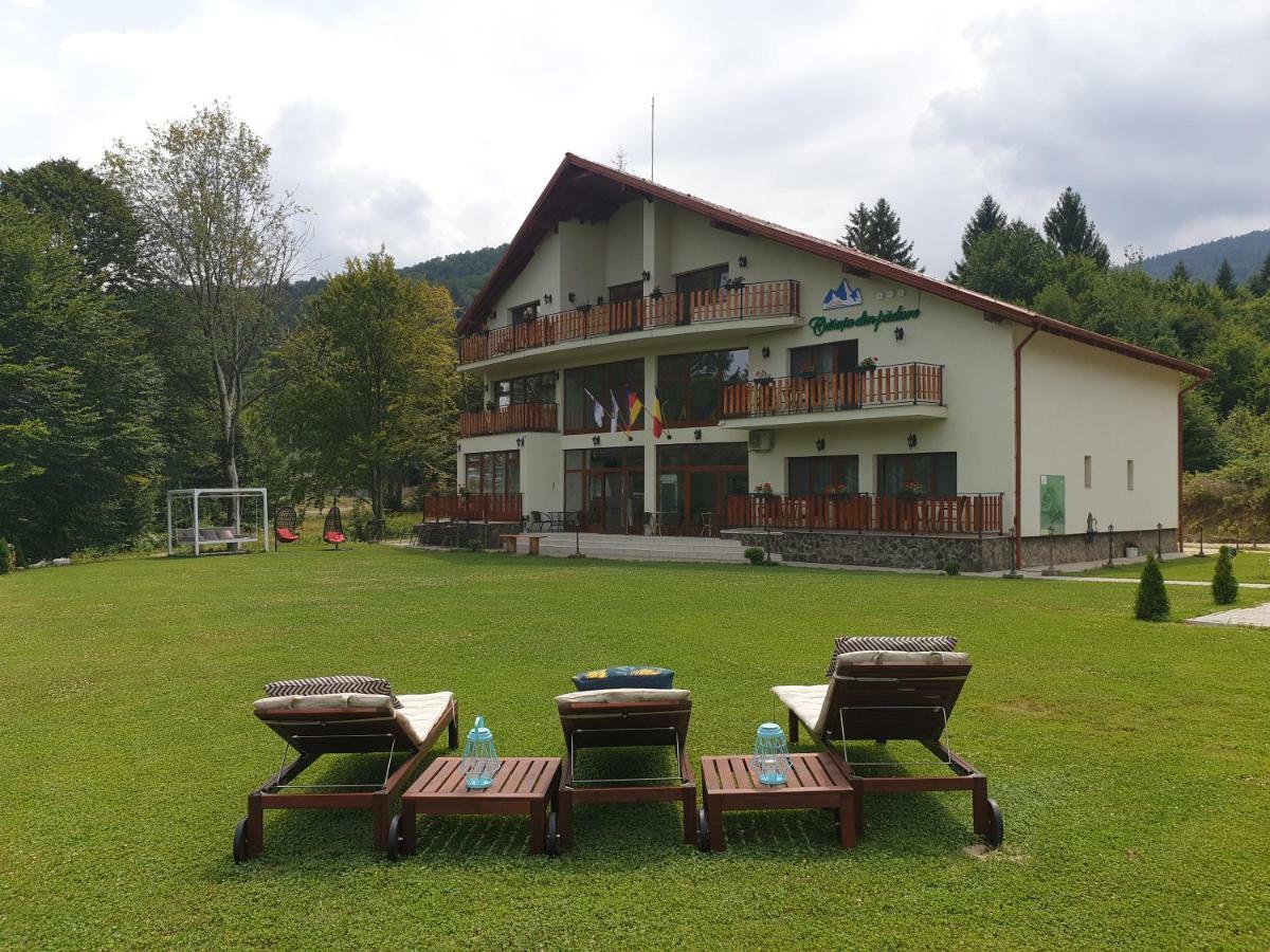 Casuta Din Padure Bed & Breakfast Dragus Exterior foto